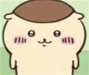 ChiikawaPocket