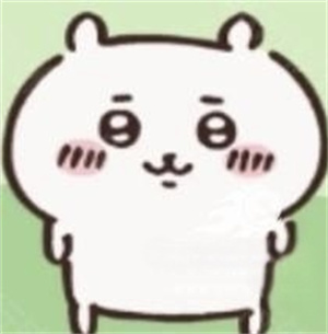 ChiikawaPocket