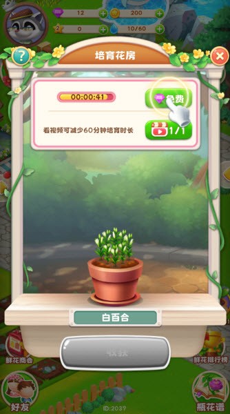 奇光精灵