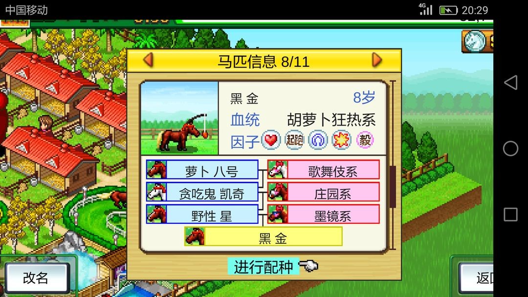 赛马牧场物语