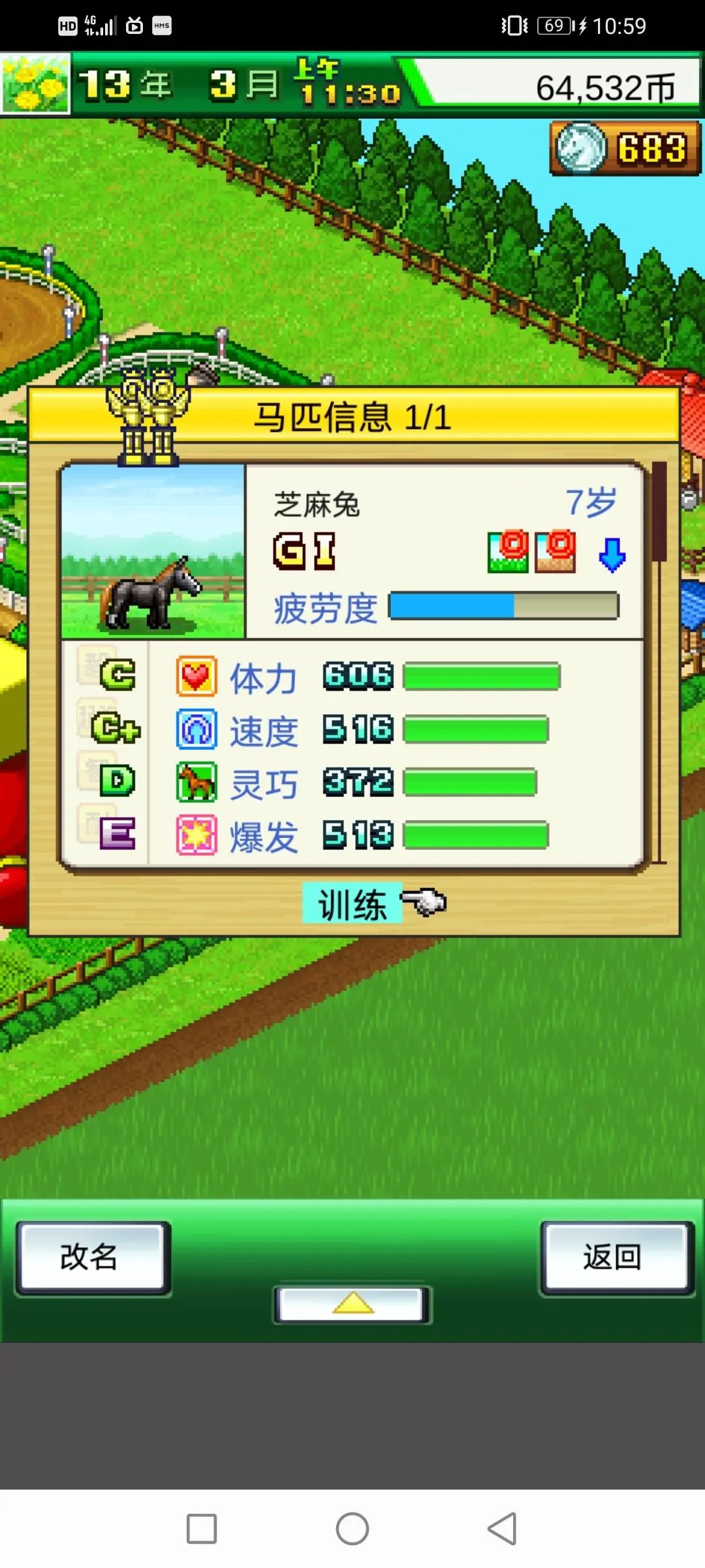 赛马牧场物语
