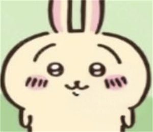 ChiikawaPocket