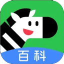 斑马百科手机版