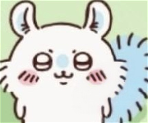 ChiikawaPocket