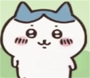 ChiikawaPocket