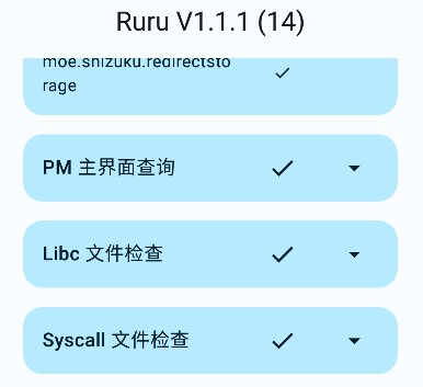 Ruru检测