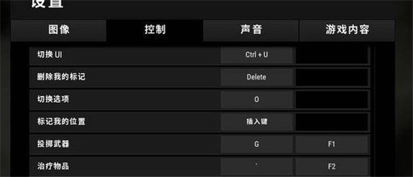 pubgmobile国际服