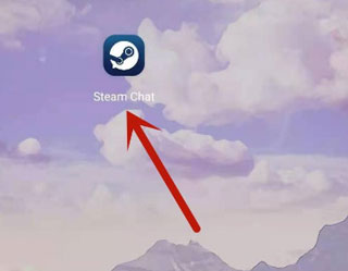 steam中文版