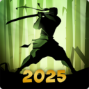 暗影格斗22025