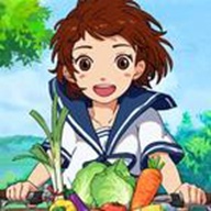 新小森生活台湾版