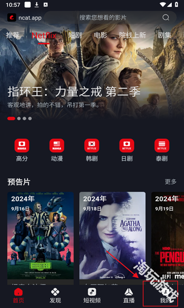 网飞猫