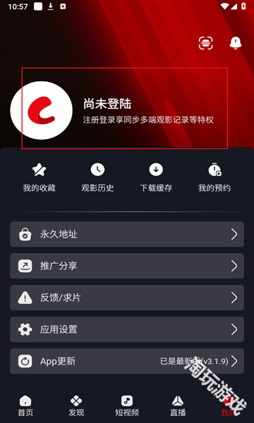 网飞猫