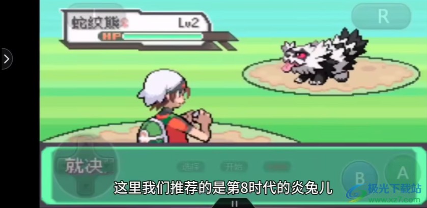 对战野生宝可梦画面