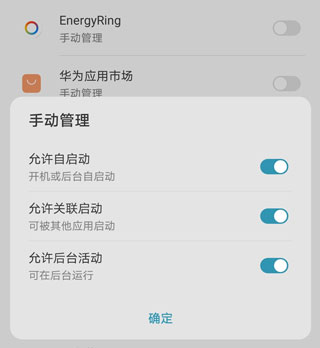 EnergyRing中文版