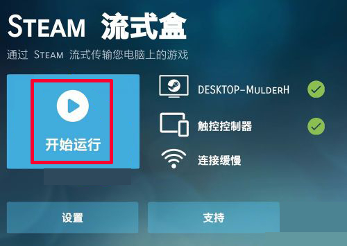 steamlink
