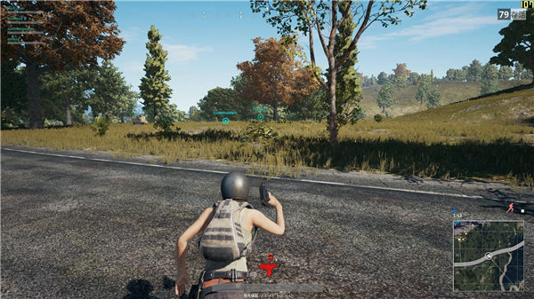 pubgmobile国际服