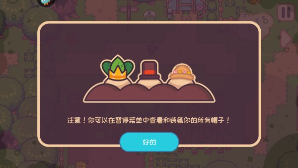大头菜菜历险记