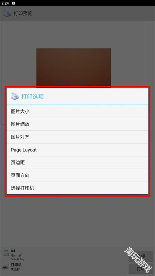 趣打印高级版