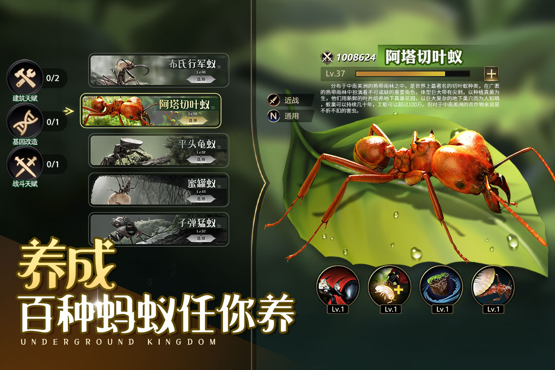小小蚁国最新版本