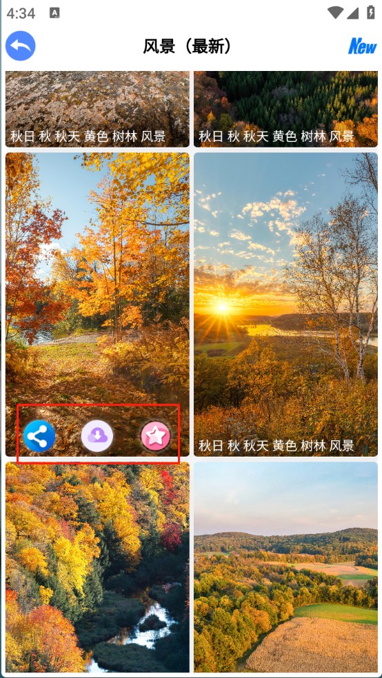 波奇4K高清壁纸