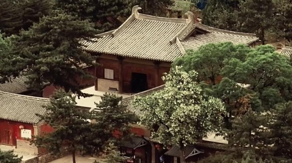 黑神话悟空手游下载正版新版本