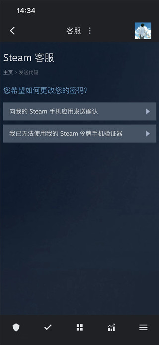 steam中文版