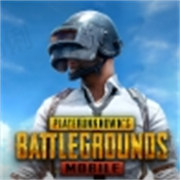 绝地求生国际服手机版