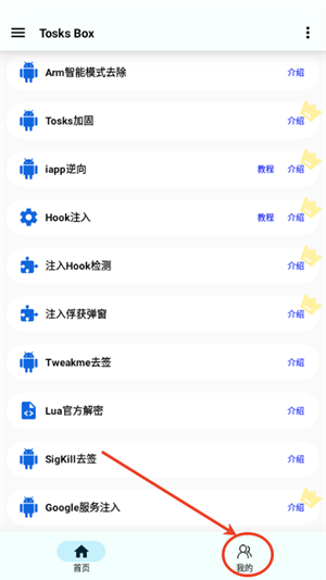 Tosks Box注入工具