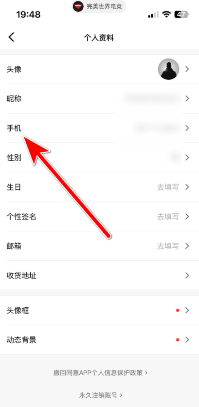 csgo完美平台