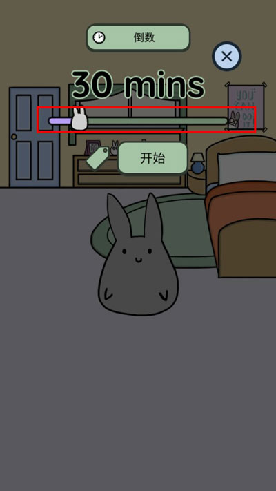 study bunny