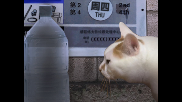 猫之怪奇谭