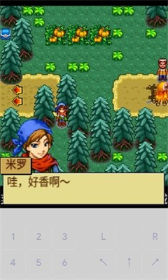 宠物王国4白金版