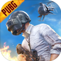 pubg国际服2.9