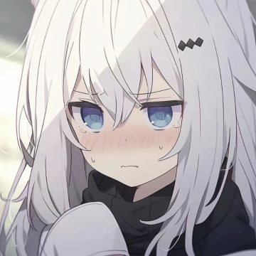 北辞弱网内部版