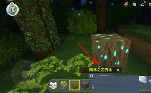 迷你世界雨林版本免登录