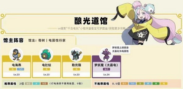 口袋妖怪朱紫gba